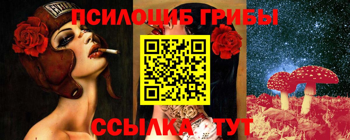 Псилоцибиновые грибы мицелий  Вход с VPN  Карачаевск 