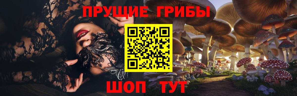 Псилоцибиновые грибы MAGIC MUSHROOMS Карачаевск